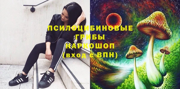 шишки Алзамай