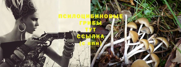 шишки Алзамай