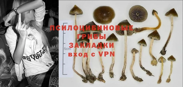 наркотики Гусиноозёрск