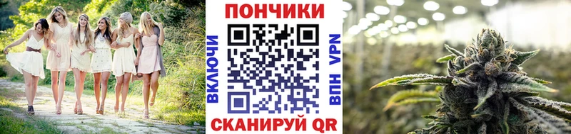 Бошки Шишки план  Дедовск 